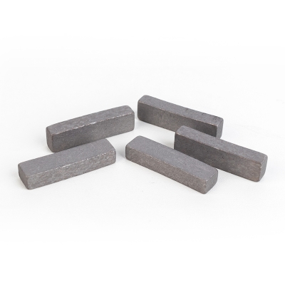 Сегмент ПНЖБ д.700-1100мм 40*8,0*12,0  DIAMASTER